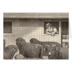 mouton mérino