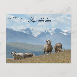 Moutons au Kazakhstan Carte postale