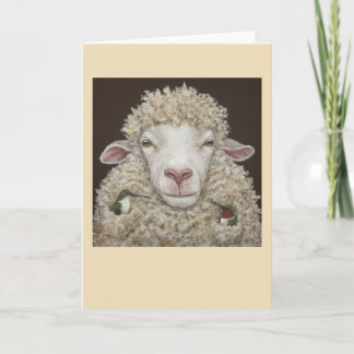 Moutons avec carte des colibris
