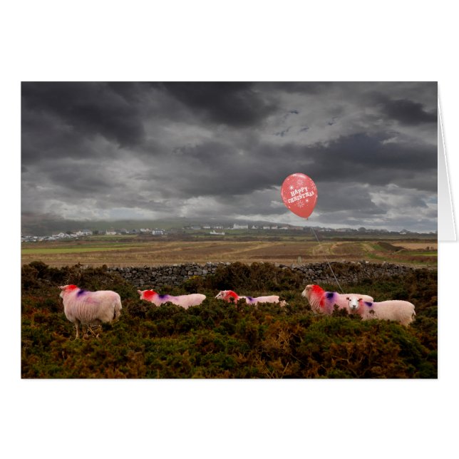 moutons de Noël (Devant horizontal)