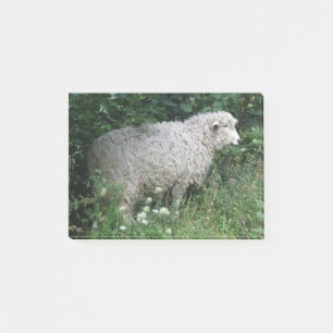 Moutons gourmands mignons mangeant des post-it