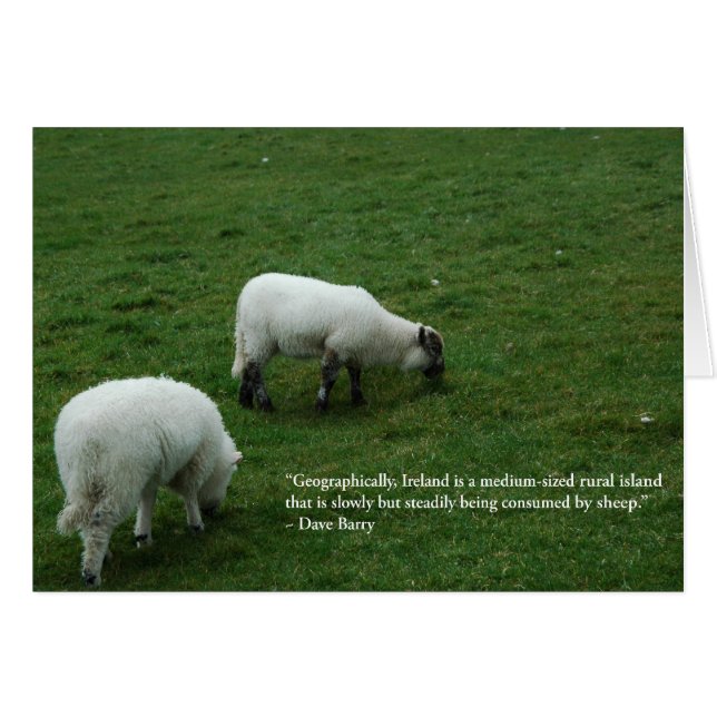 Moutons irlandais (Devant horizontal)