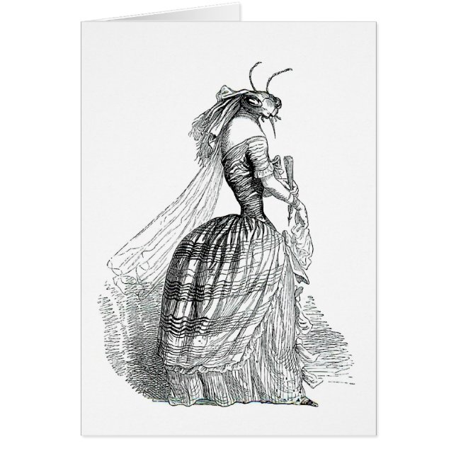 Mouvement d'insecte (Devant)