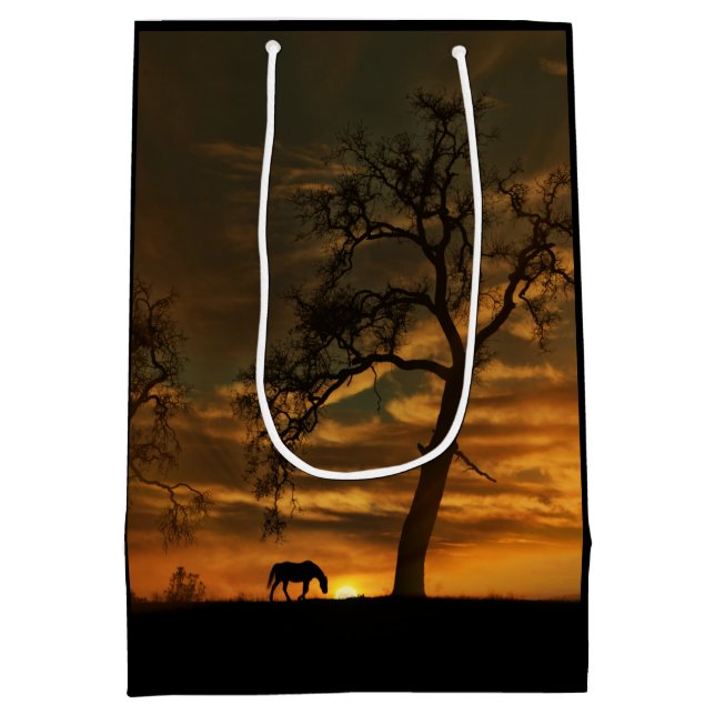 Moyen Belle Sac Cadeau Cheval Sud-Ouest (Dos)