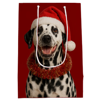 Moyen Dalmatien dans un sac de cadeau de Noël avec un ch