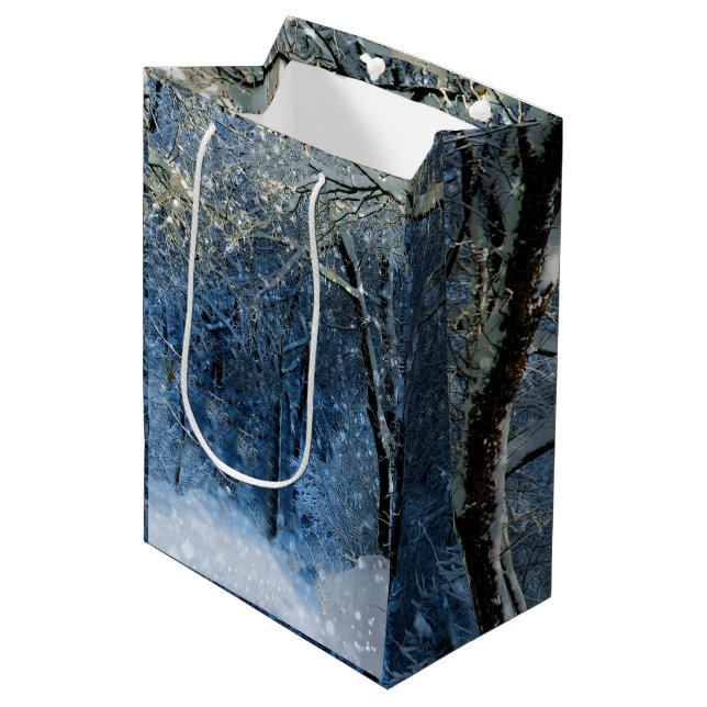 Moyen Deep Woods Winter Wonderland Sac cadeau magique (Devant Angle)