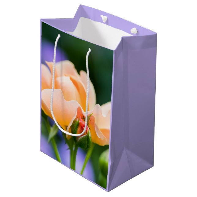 Moyen désir déplier grand sac cadeau (Devant Angle)