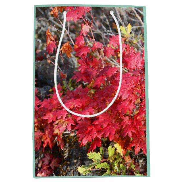 Moyen Sac cadeau Feuilles Automne (Devant)