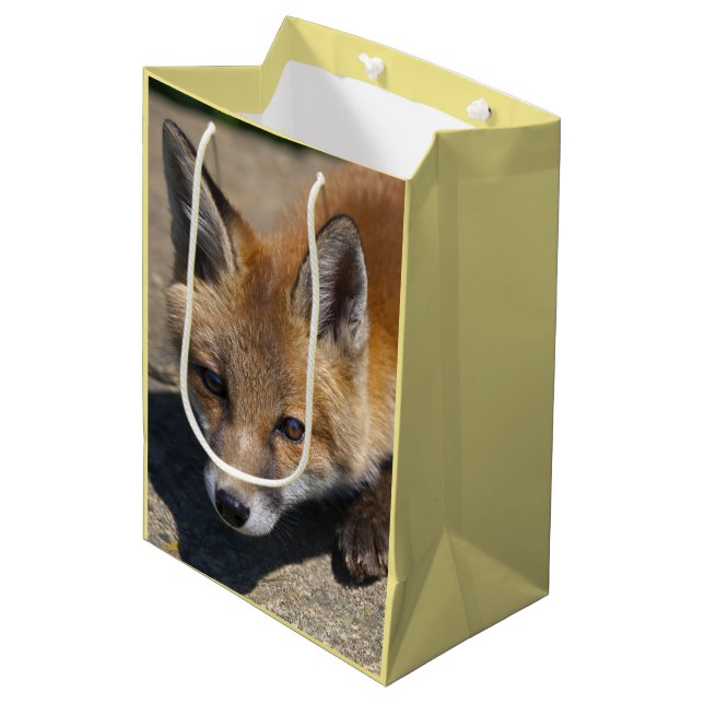 Moyen Sac cadeau Luna Fox (Devant Angle)