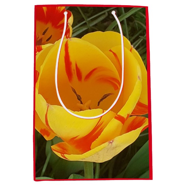 Moyen Sac cadeau pour tulipes de printemps (Devant)