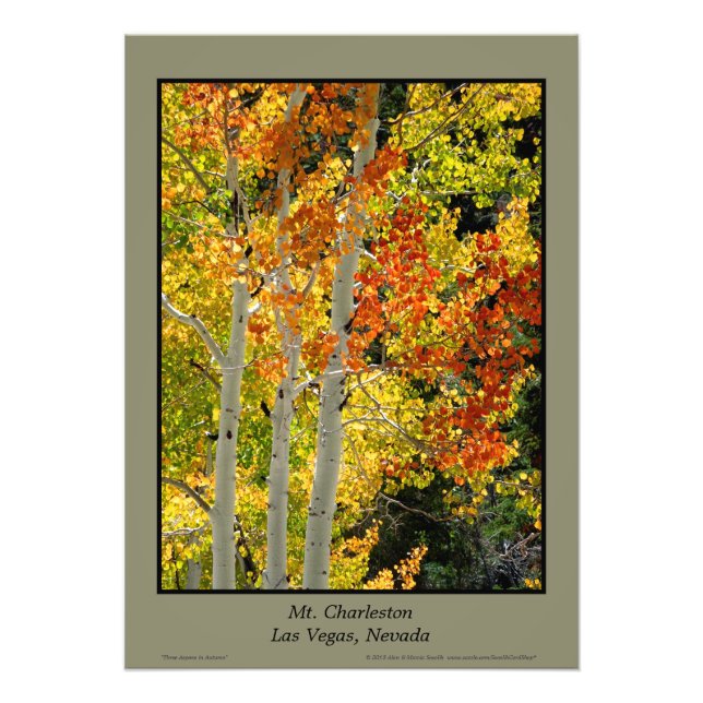 Mt. Charleston NV Automne Aspen Trees Poster (Devant)