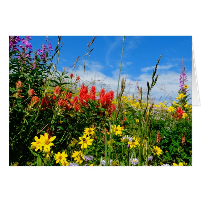 Mt. Fleur sauvage (Devant horizontal)