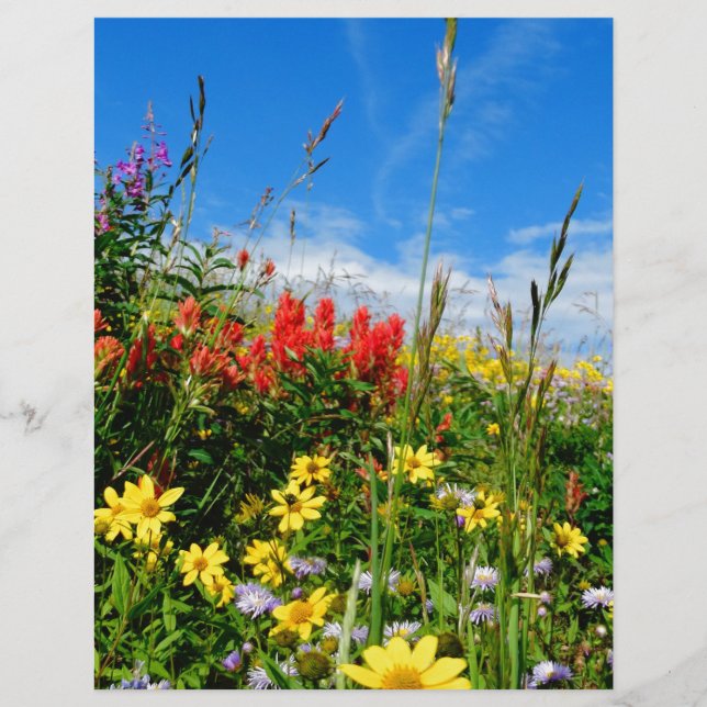 Mt. Fleur sauvage (Devant)
