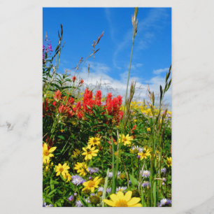 Mt. Fleur sauvage