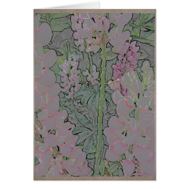 Mufliers roses (Devant)