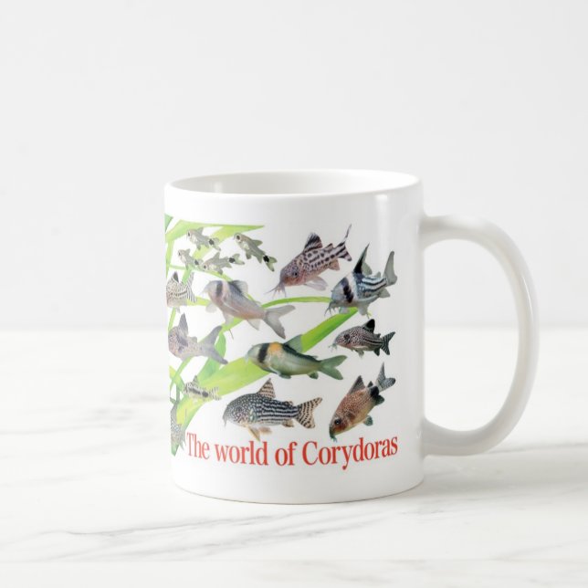 MUG コリドラス (Droite)