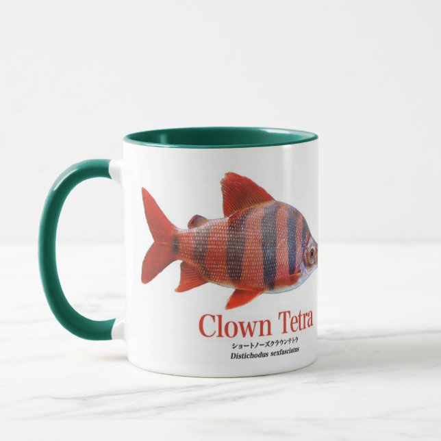 MUG ショート・ノーズ・クラウン・テトラ (Gauche)