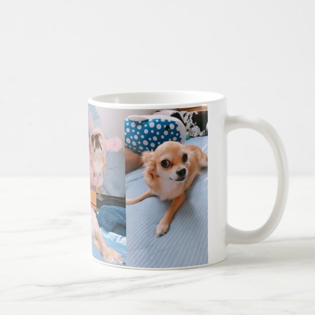 MUG 犬-4枚 (Droite)