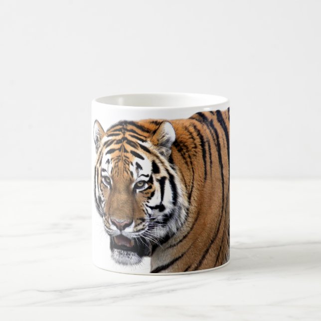 MUG 虎 (Centre)