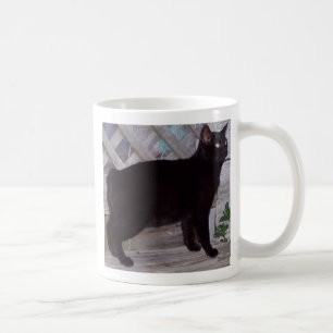 MUG 100_0621