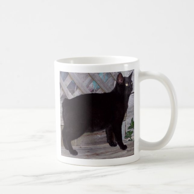 MUG 100_0621 (Droite)