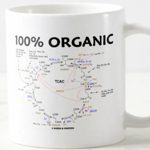 Mug 100% organique (cycle d'acide citrique - cycle de