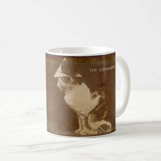 Mug 1906 L'officier commandant habillé chat RPPC (Devant droit)