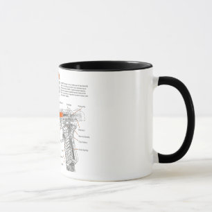 Mug 1911 fonctionnements intérieurs