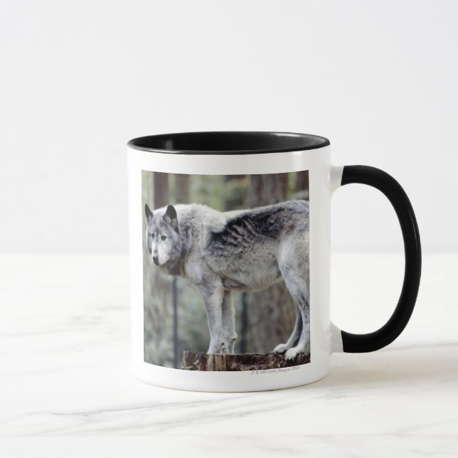 MUG 24114488 (Droite)
