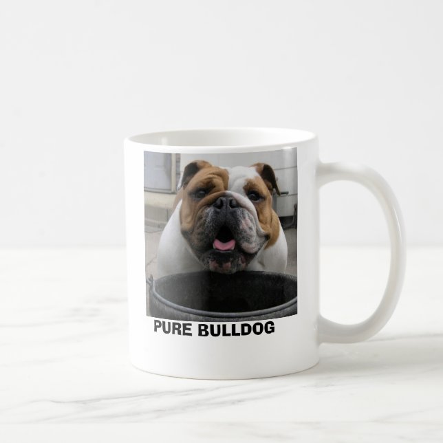 MUG 4-11-06 043, BOULEDOGUE PUR (Droite)