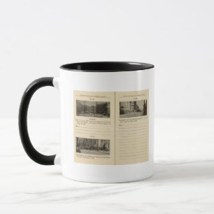Mug 73941 Albany