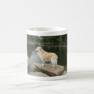 Mug A Dog At A Pond
