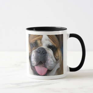 Mug A English bulldog en Belgique.