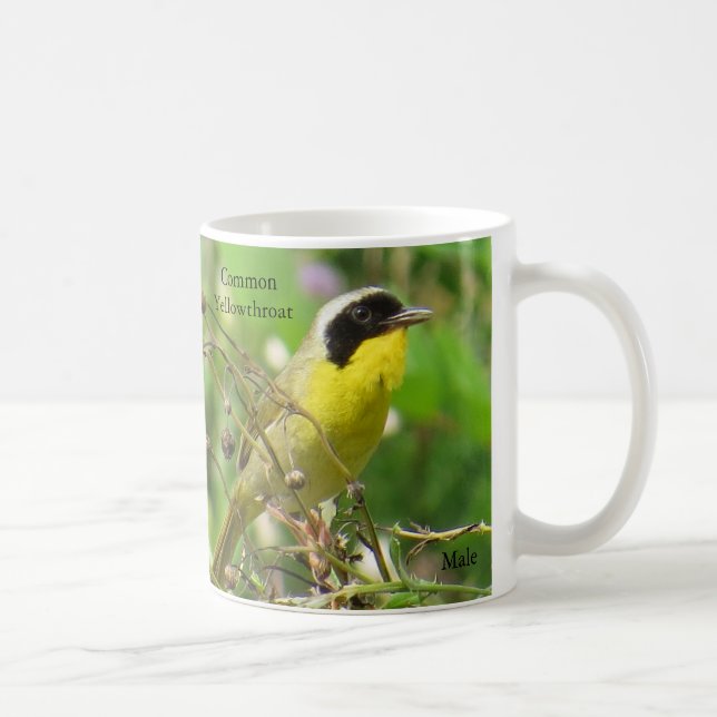 Mug à gorge jaune commun par BirdingCollectibles (Droite)