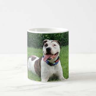 Mug À l'os de pitbull