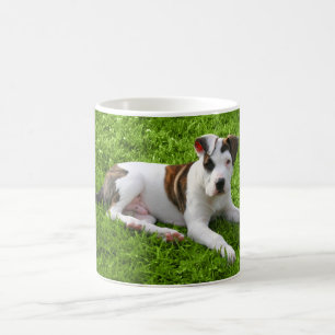 Mug À l'os de pitbull de chiot