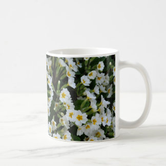 Mug A - Primevère anglaise