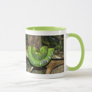 Mug à sonnerie Serpent Boa Vert