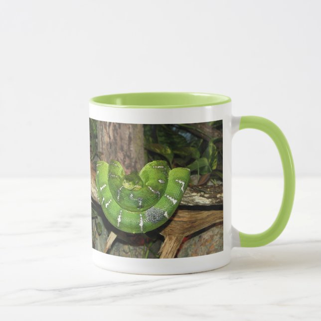 Mug à sonnerie Serpent Boa Vert (Droite)