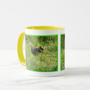 Mug À Vous, Écureuil