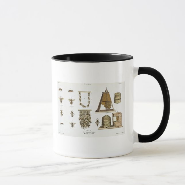 Mug Abeilles et apiculture, "du jeune terrien", p (Droite)