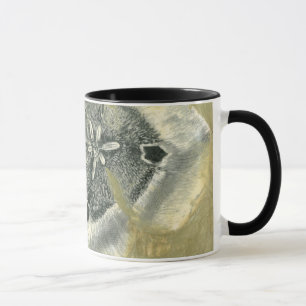 Mug Abrégé sur Flowerhead avec la texture vitrée