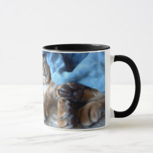Mug Abyssinian Chat Dormir