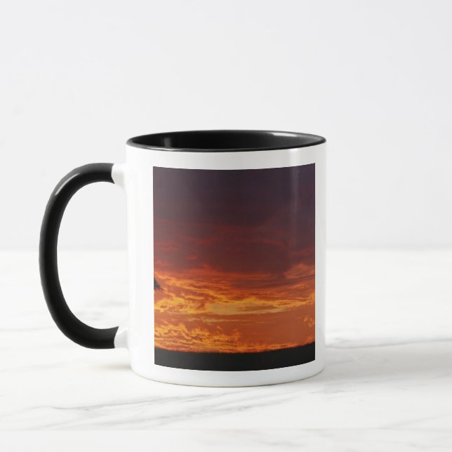 Mug Acacia tortilis, Acacia tortilis, 2 (Gauche)