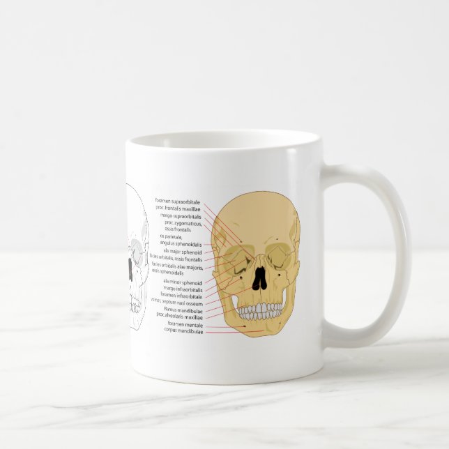 Mug Accomplissez le diagramme de l'avant du crâne (Droite)