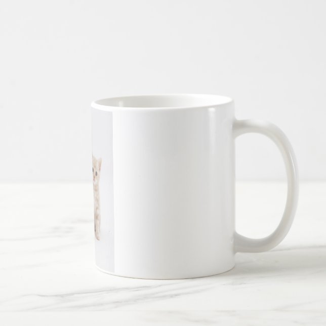 Mug Accueil de chats (Droite)