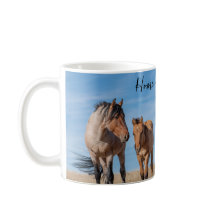 Accueil sur le Range Wild Mustang