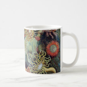Mug Actinie d'Ernst Haeckel Actiniaea
