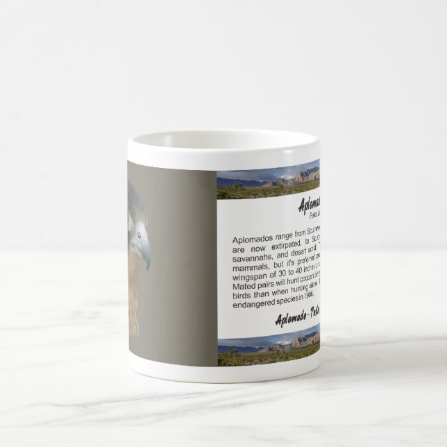 Mug ADiplomado (Centre)