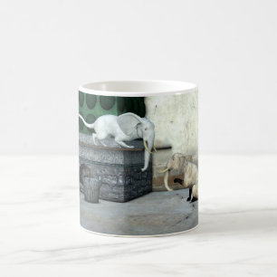 Mug adorable chats éléphants